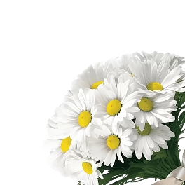 Ромашка